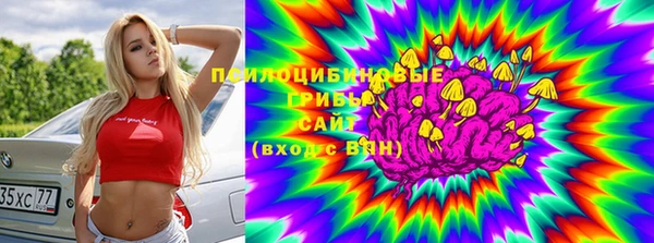 стафф Киреевск