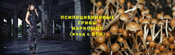 стафф Киреевск